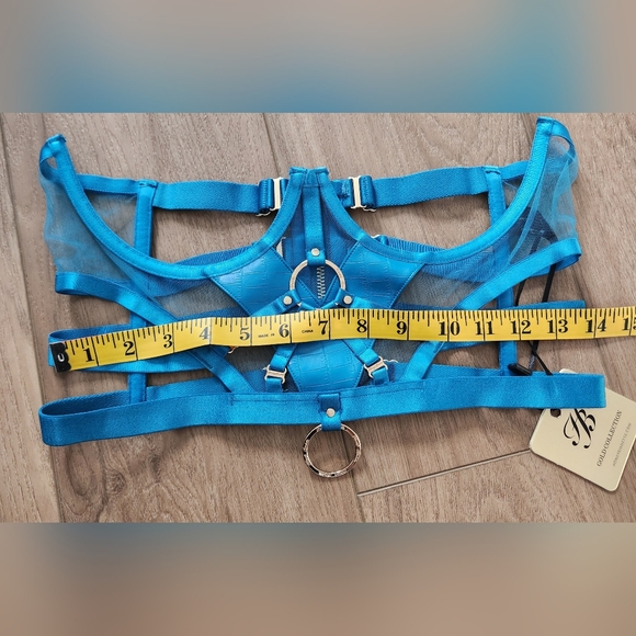 Honey Birdette 💋SET💋 Mistress T blue bra 34C/34D/S NWT - Picture 9 of 13